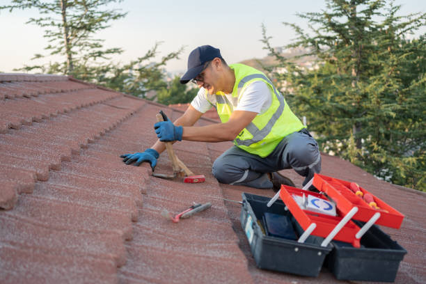 Best Roof Gutter Cleaning  in Jermyn, PA